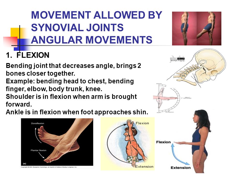 ANATOMY & PHYSIOLOGY BLIZZARD - ppt video online download