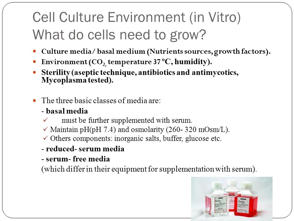 Introduction to Mammalian Cell Culture - ppt video online download
