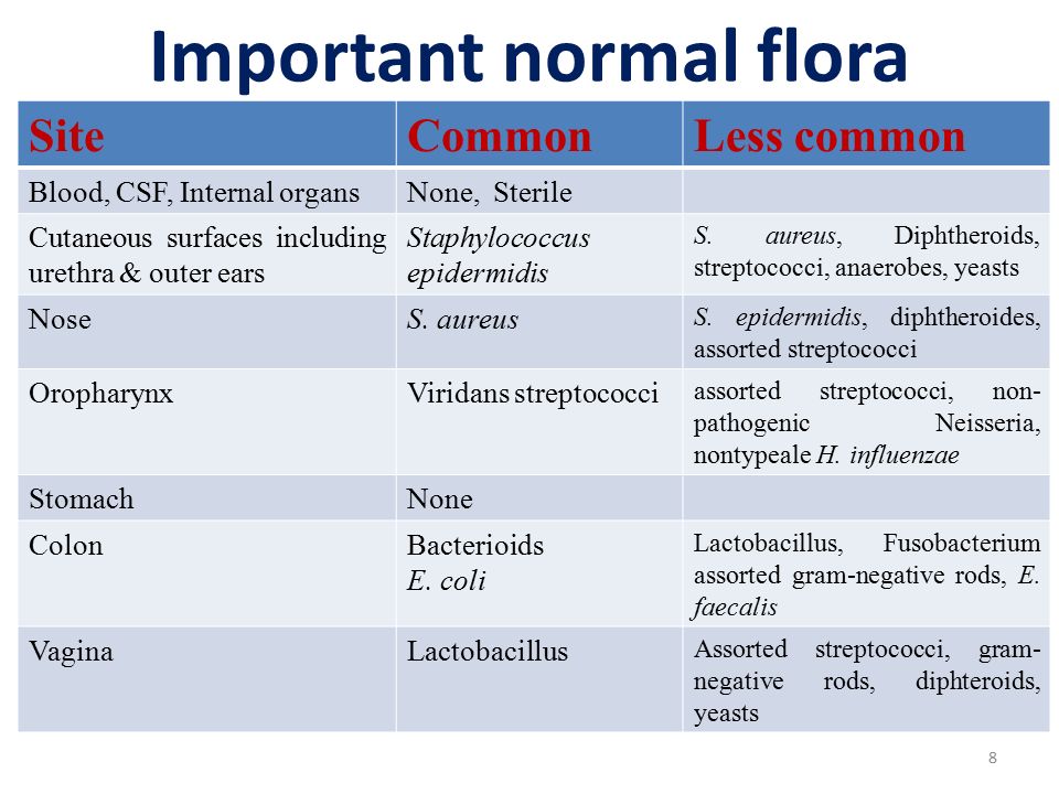 normal flora in blood