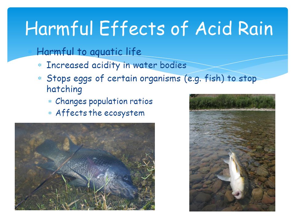 Environmental Chemistry: Acid Rain - ppt video online download