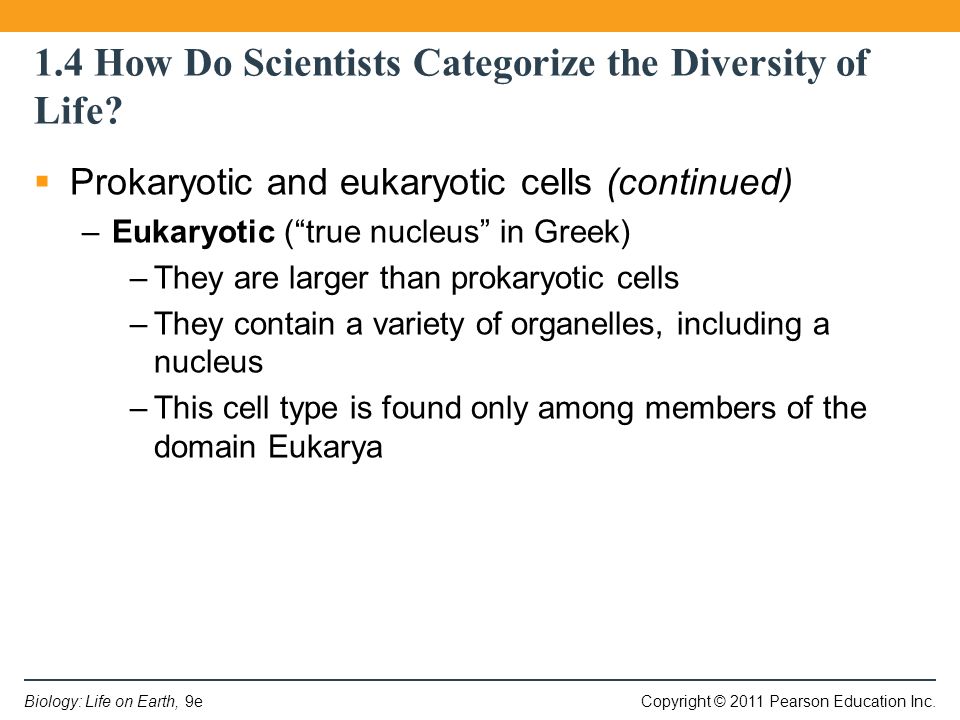 1.4 How Do Scientists Categorize the Diversity of Life