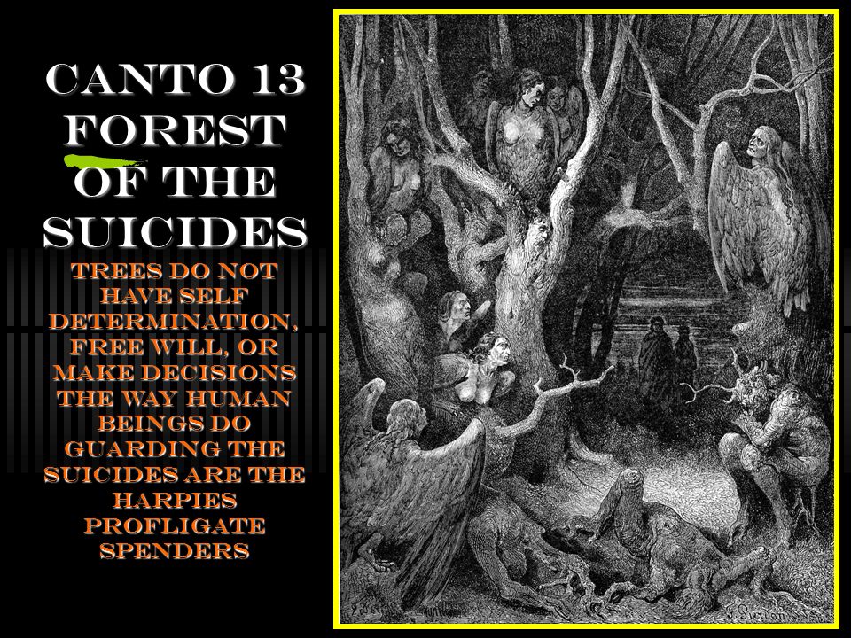 Inferno: Canto 13 - The Forest of the Suicides - Dante's History