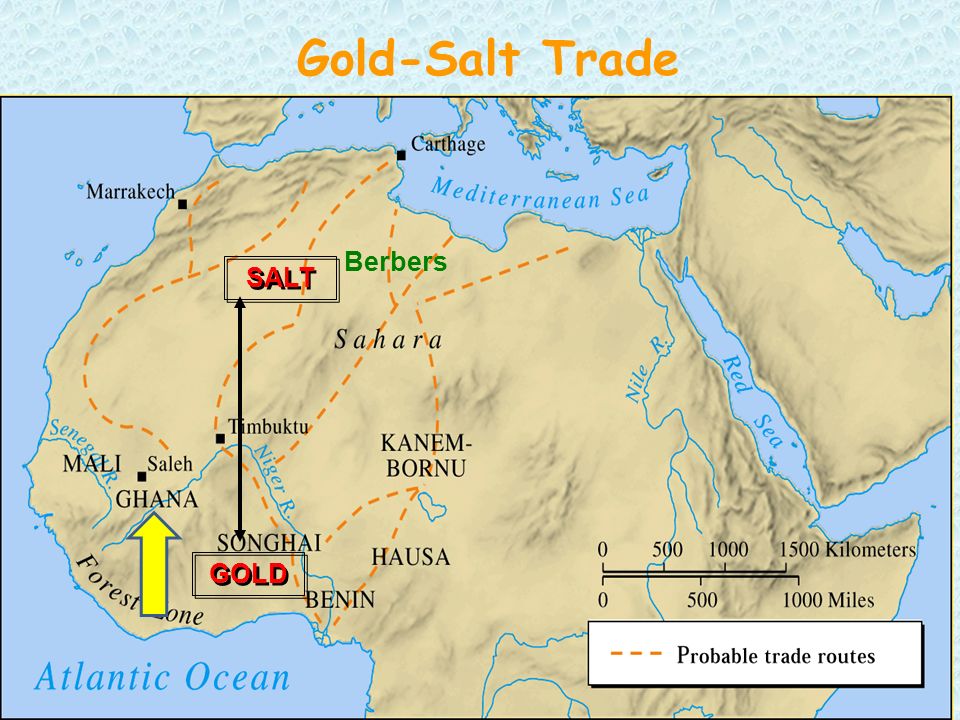Image result for gold and salt trade map