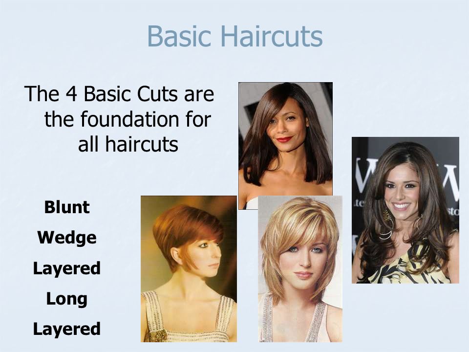 Hair Cutting Reference Points are used to establish design guidelines and  create the same haircut over and over again. - ppt video online download