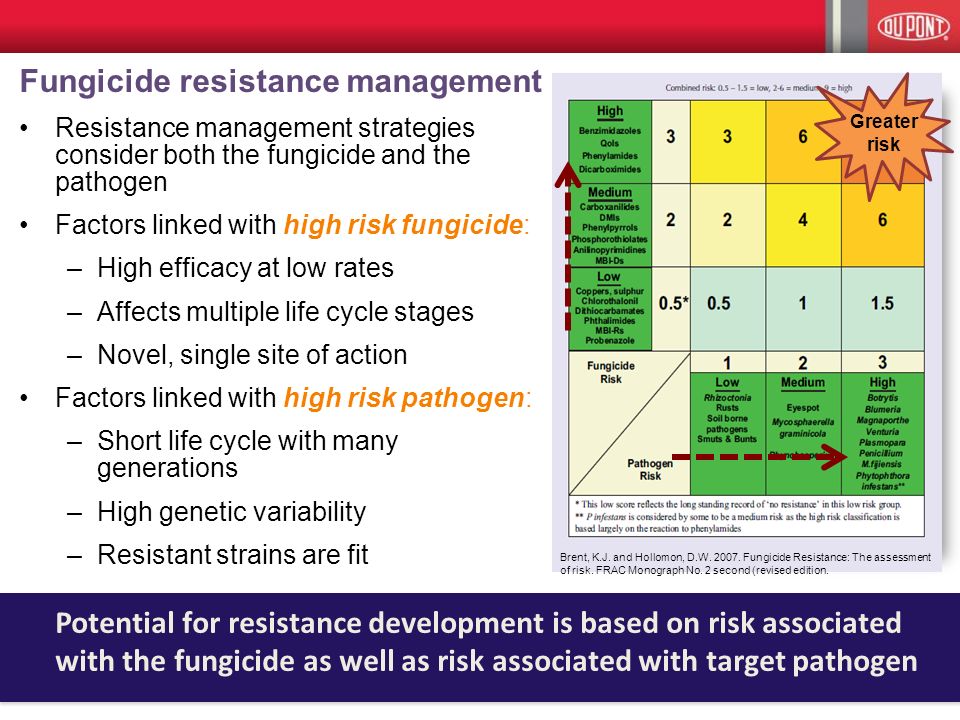 Fungicide Efficacy Chart