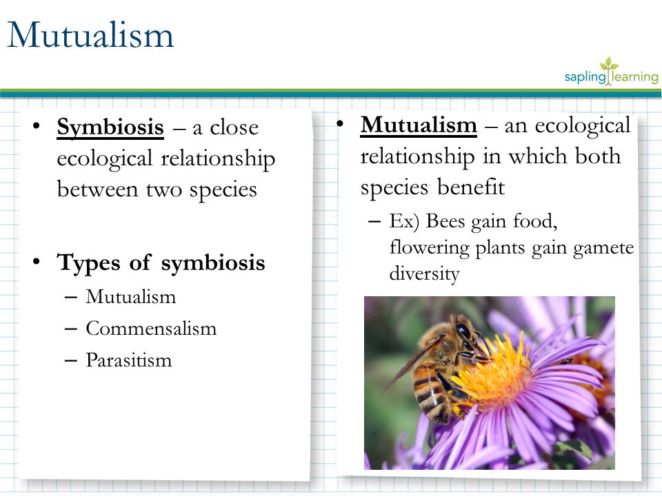 Symbiosis Mutualism Commensalism Parasitism Learning