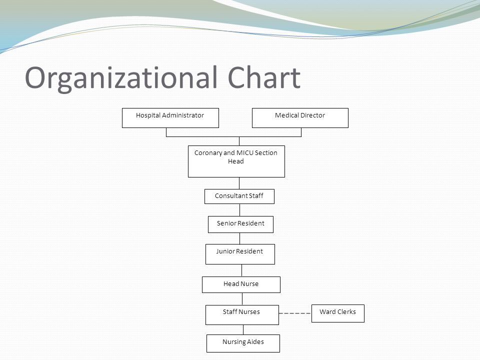 School Of Nursing Organizational Chart