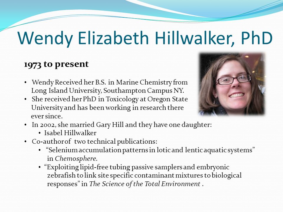 Wendy Elizabeth Hillwalker, PhD