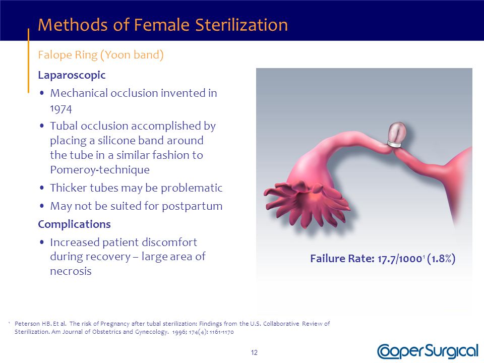 sterilization pdf - د. براء - Muhadharaty