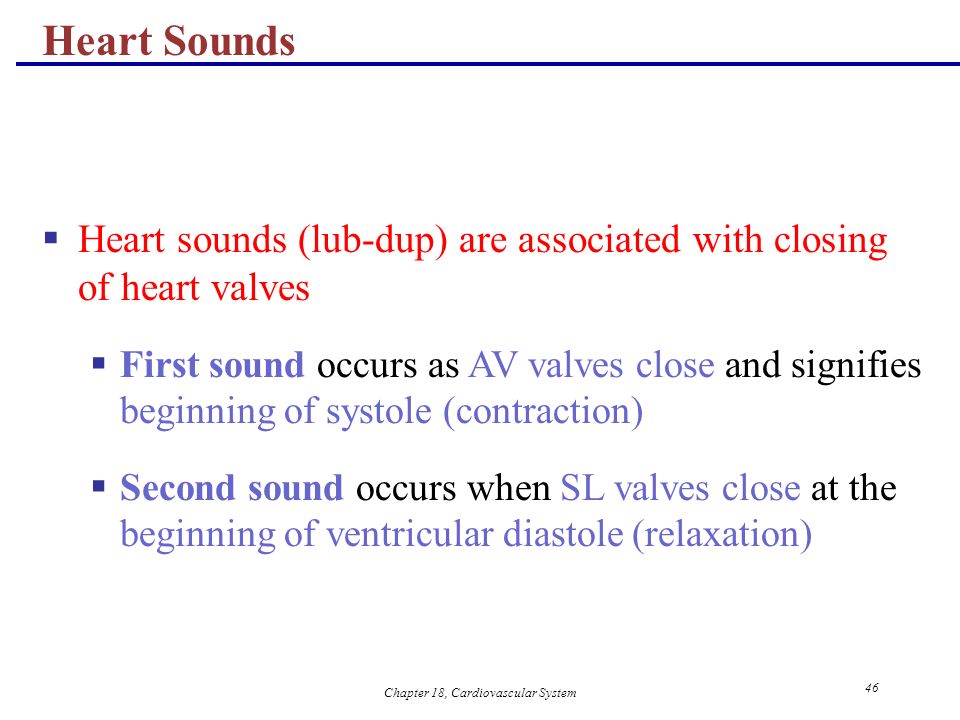 The Cardiovascular System: The Heart Anatomy - ppt download