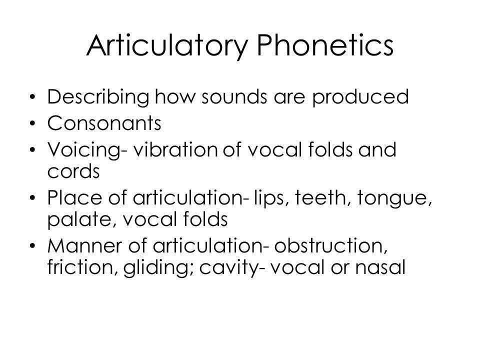 Articulatory Phonetics Chart