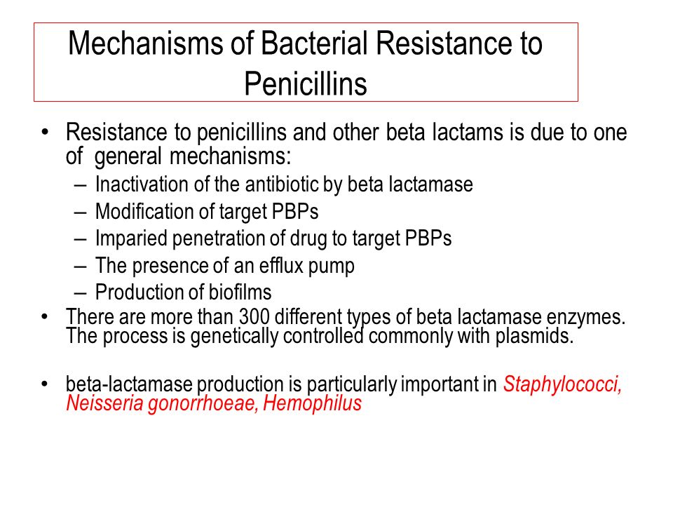 Mechanisms of Bacterial Resistance to Penicillins