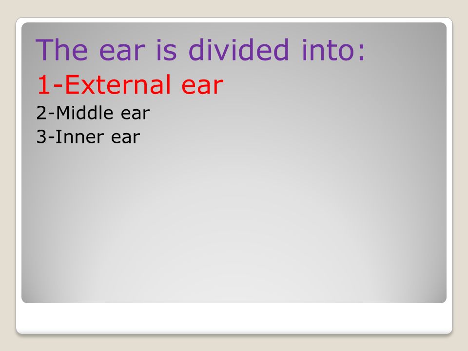 The ear is divided into: