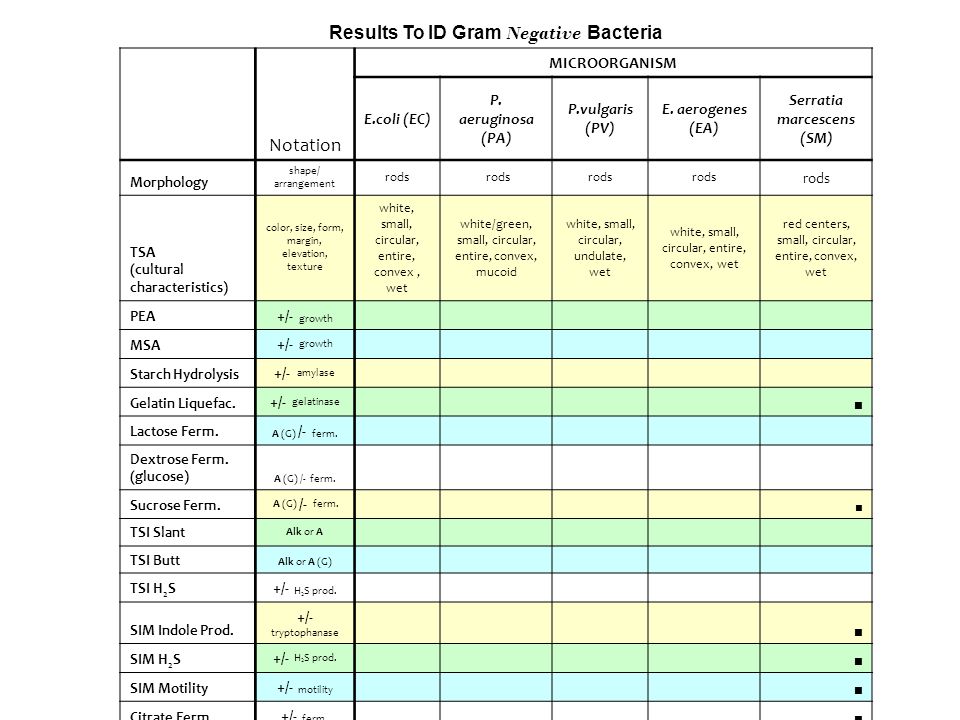 Imvic Test Results Chart