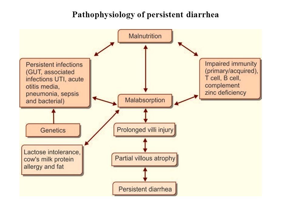 Pathophysiology Of Diarrhoea In Flow Chart