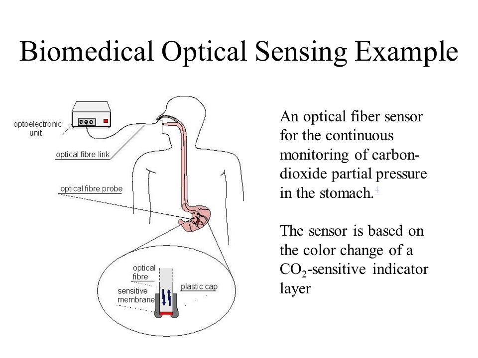 Biomedical Optical Sensing Example