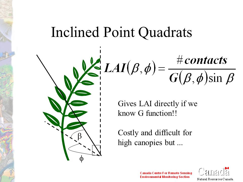 DEFINITION LEAF AREA INDEX is defined as one half the total foliage - ppt  video online download