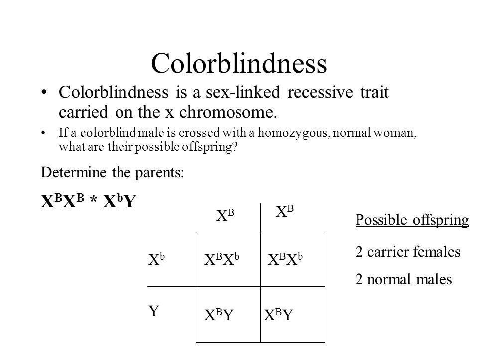 Colorblindness Colorblindness is a sex-linked recessive trait carried on th...