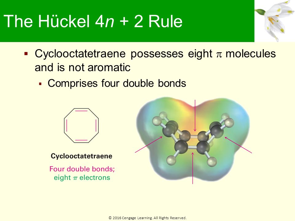 Chapter 15 Benzene And Aromaticity Ppt Download Chapter 15 Benzene And Aromaticity Ppt Download