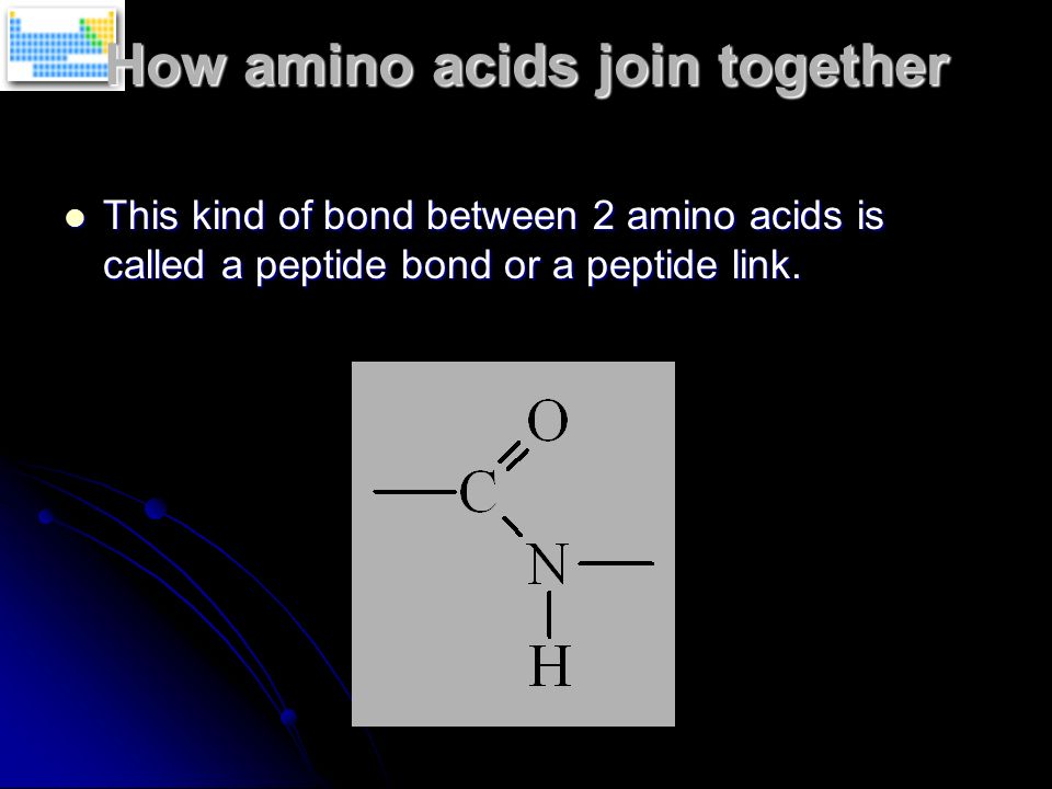 How amino acids join together
