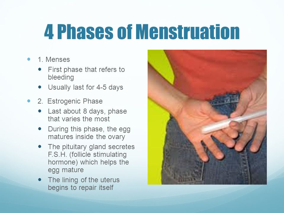 4 phases of menstrual cycle