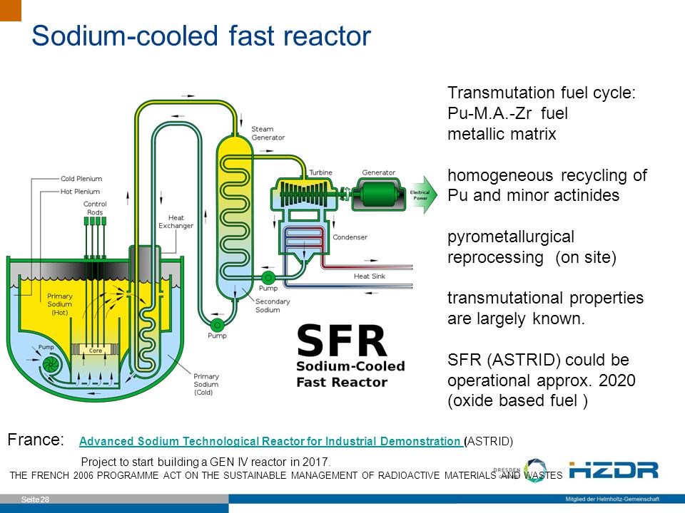 Sodium-cooled fast reactor