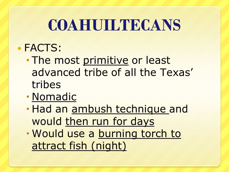 COAHUILTECANS FACTS: The most primitive or least advanced tribe of all the Texas’ tribes. Nomadic.