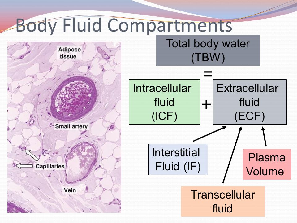 Bodyfluids Jav