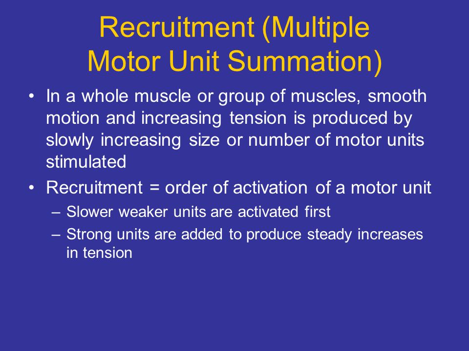 Recruitment (Multiple Motor Unit Summation)