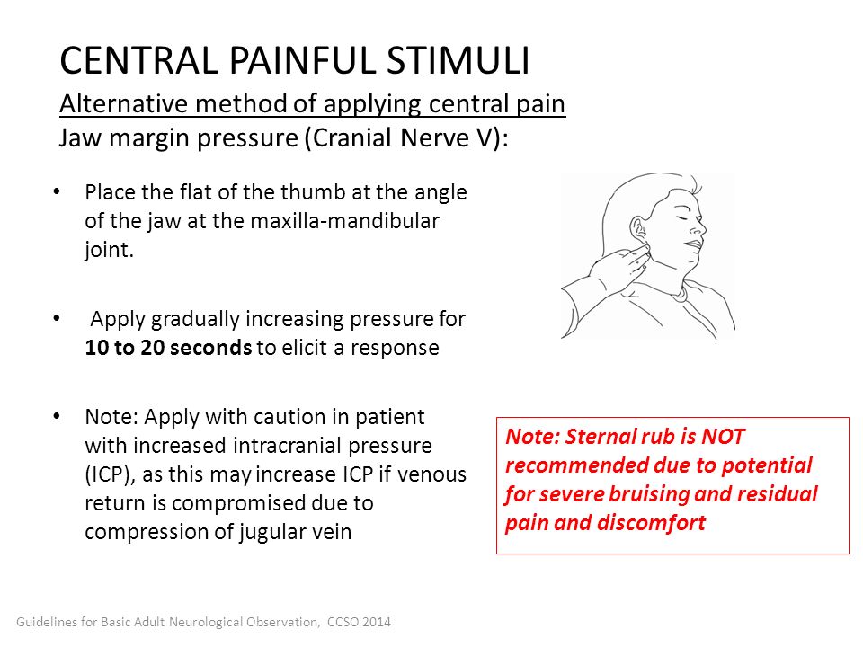 CENTRAL PAINFUL STIMULI Alternative method of applying central pain Jaw margin pressure (Cranial Nerve V):