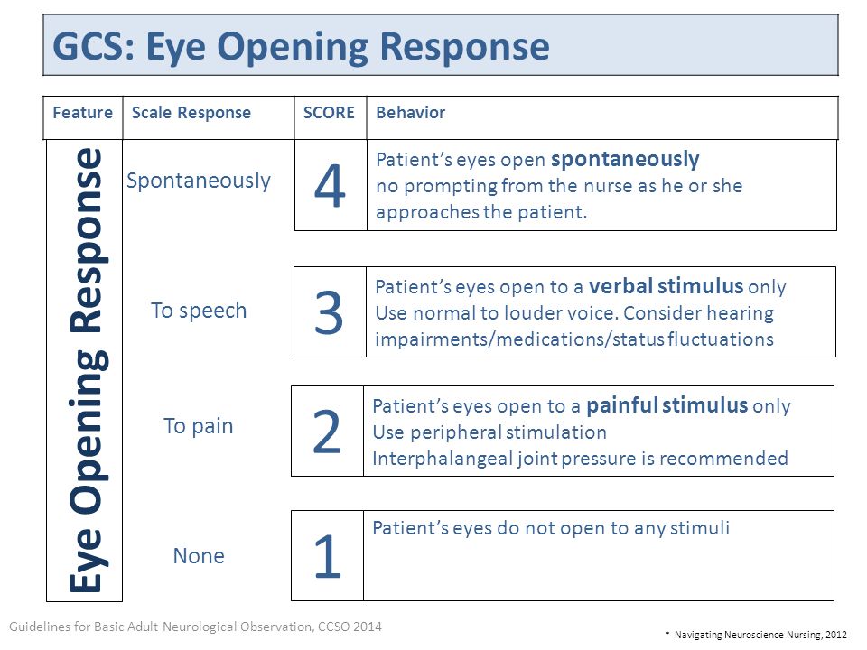 Eye Opening Response GCS: Eye Opening Response Spontaneously