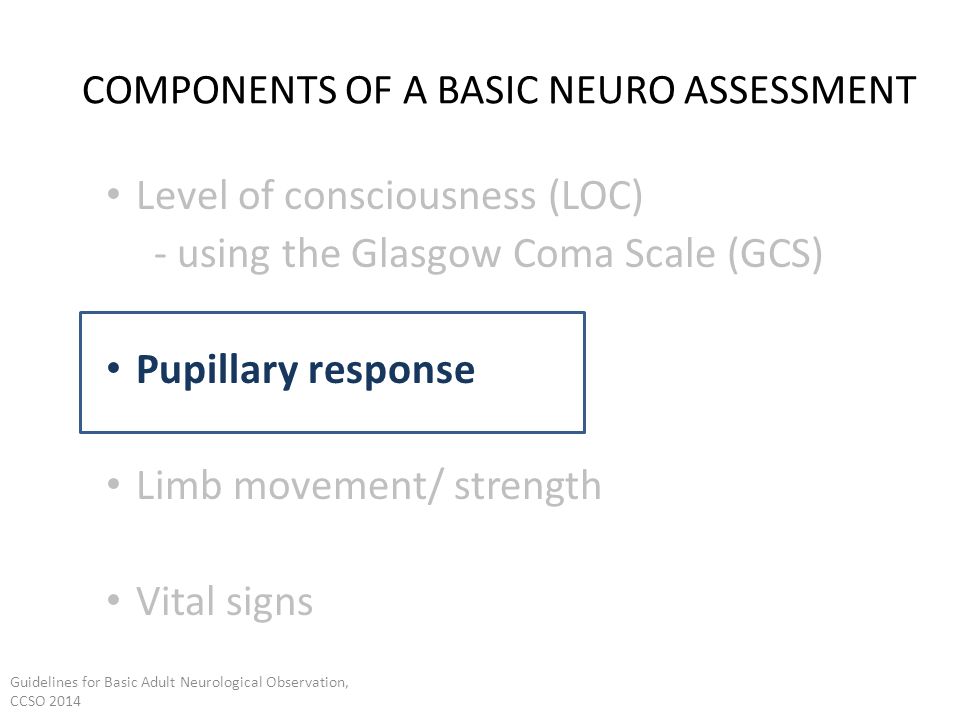 COMPONENTS OF A BASIC NEURO ASSESSMENT