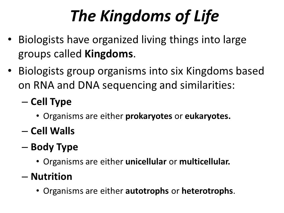 Six Kingdoms Of Life Chart Answers