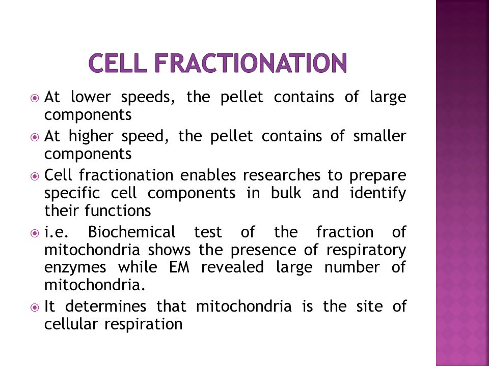 Technique what is fractionation What Is