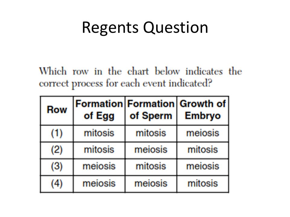Cell Division Sc 912 L Compare And Contrast Mitosis And Meiosis