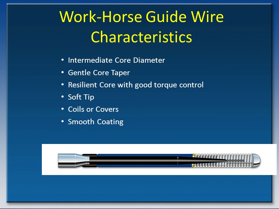 Work-Horse Guide Wire Characteristics