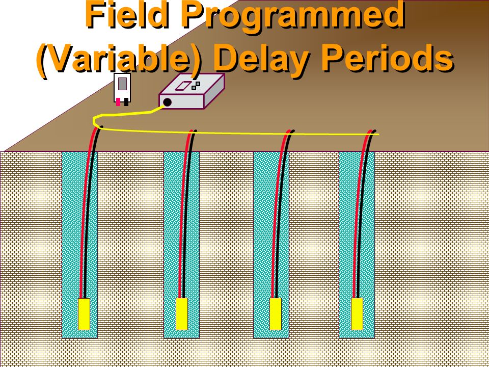 Field Programmed (Variable) Delay Periods