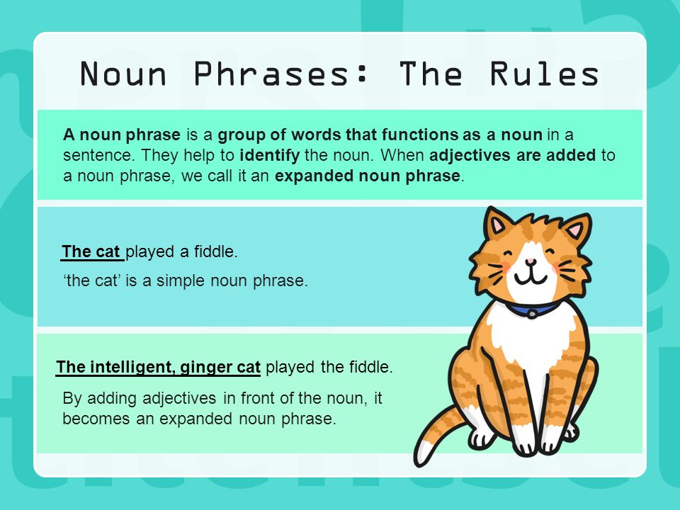 Phrases 1. Complex Noun phrases грамматика. Noun phrases примеры. The Noun phrase. Noun phrase в английском языке.