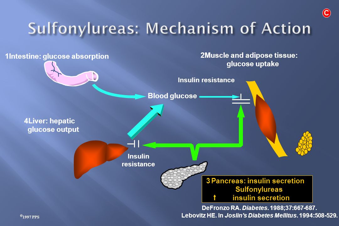 Mechanism of action. Sulfonylureas mechanism of Action. Фaminoglicosides mechanism of Action. Bronchodilators mechanism of Action. The main mechanism of Action of sulfonylureas.