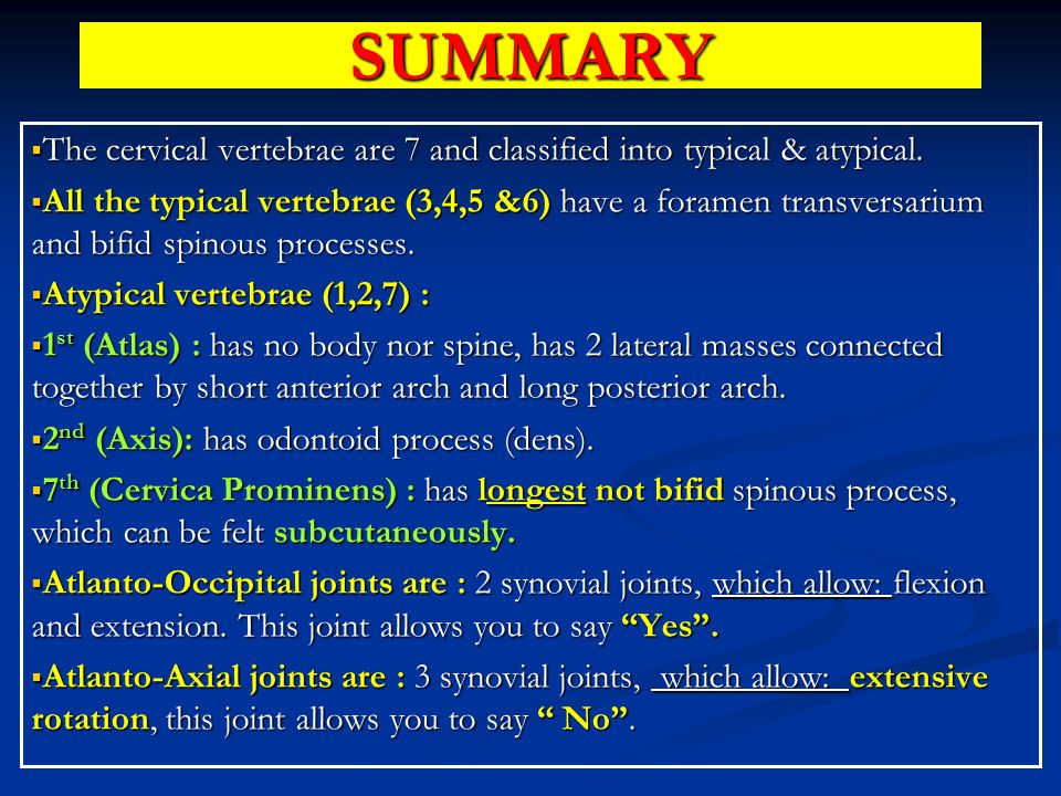 CERVICAL VERTEBRAE TYPICAL AXIS ATLAS Prof. Saeed Abuel Makarem. - ppt  video online download