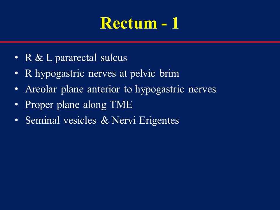 Rectum - 1 R & L pararectal sulcus R hypogastric nerves at pelvic brim