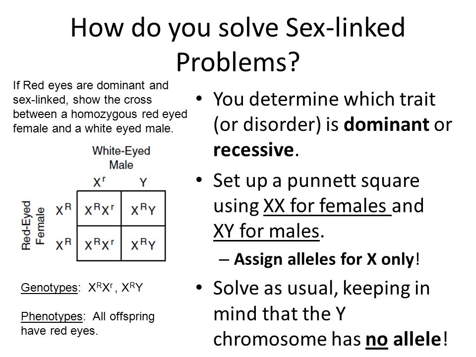 How do you solve Sex-linked Problems.