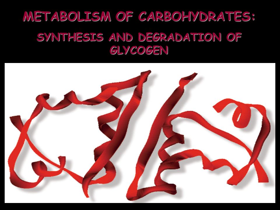 METABOLISM OF CARBOHYDRATES: SYNTHESIS AND DEGRADATION OF GLYCOGEN