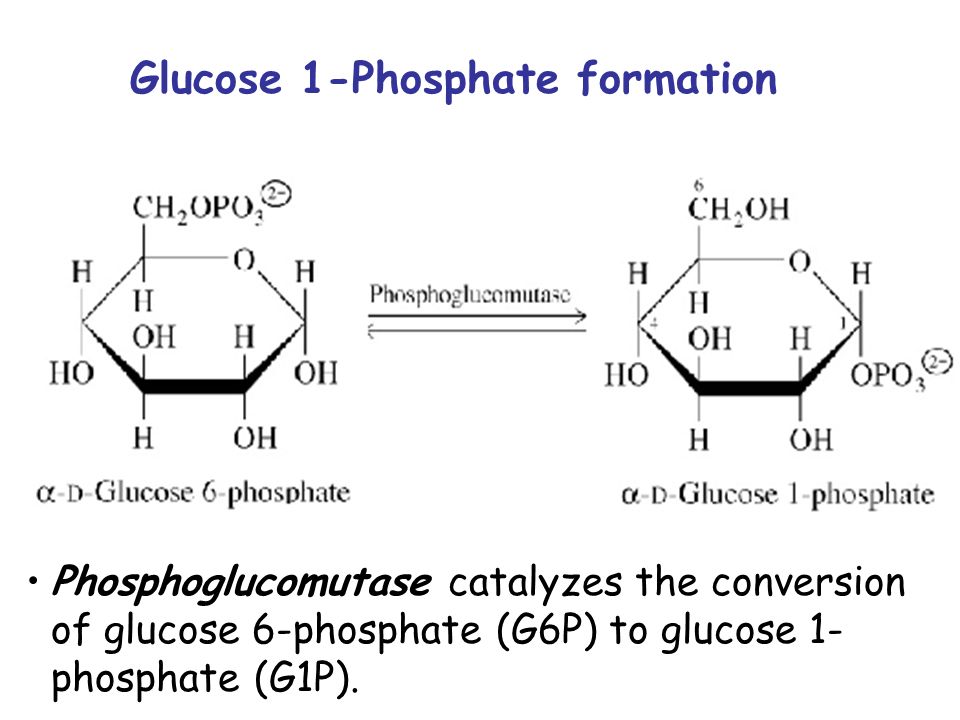 Glucose 1-Phosphate formation