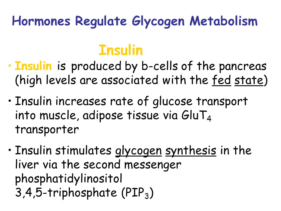 Insulin Hormones Regulate Glycogen Metabolism