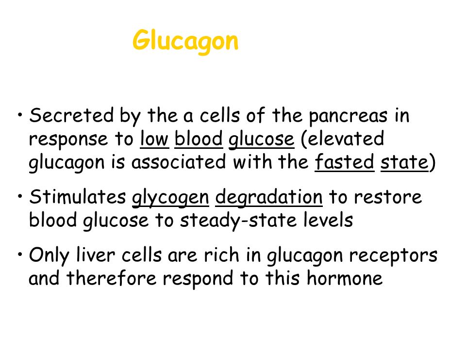 Glucagon Secreted by the a cells of the pancreas in response to low blood glucose (elevated glucagon is associated with the fasted state)