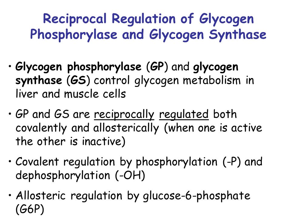 Reciprocal Regulation of Glycogen Phosphorylase and Glycogen Synthase