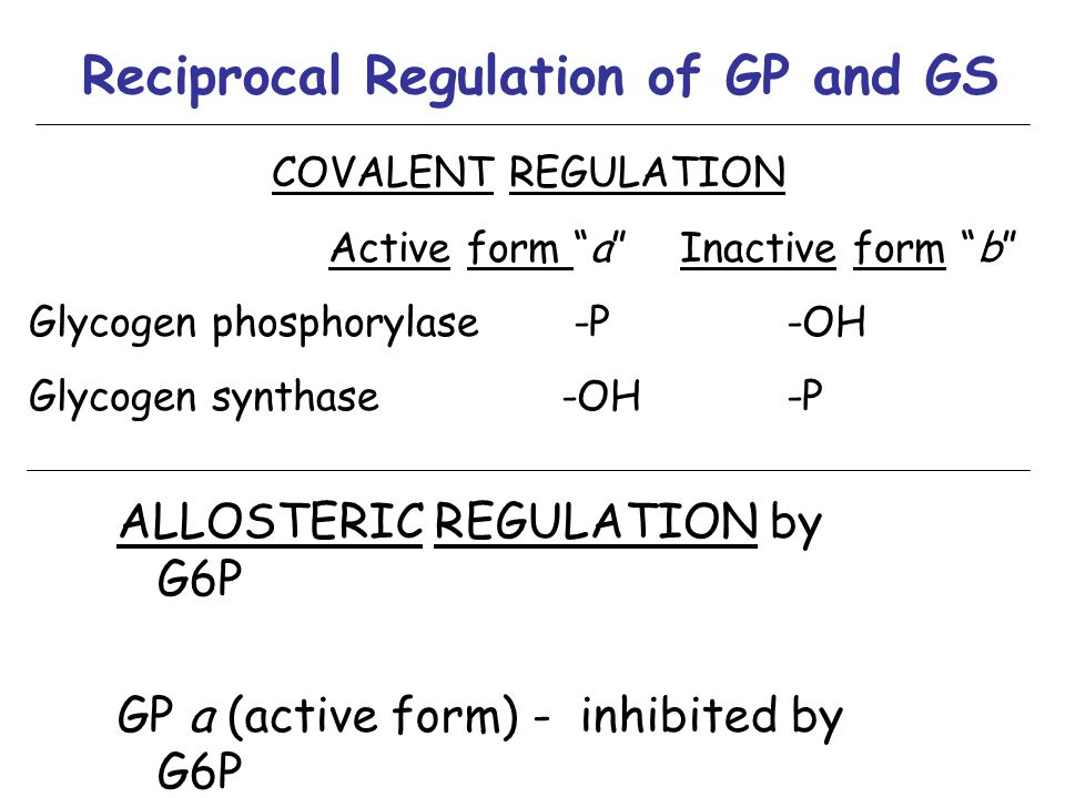 Reciprocal Regulation of GP and GS