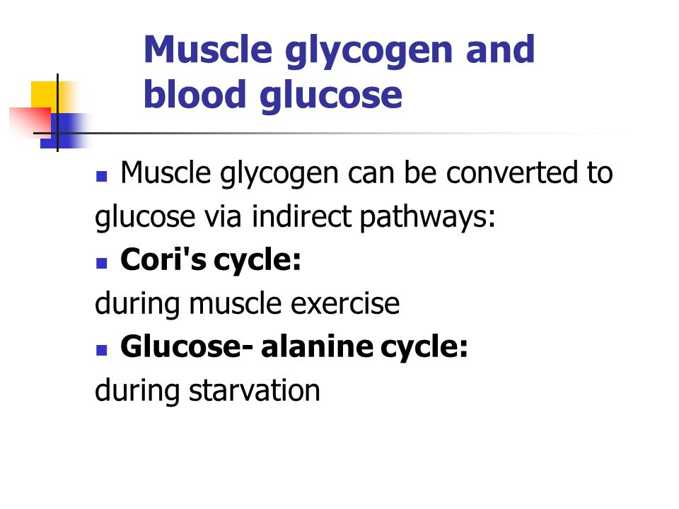 Muscle glycogen and blood glucose