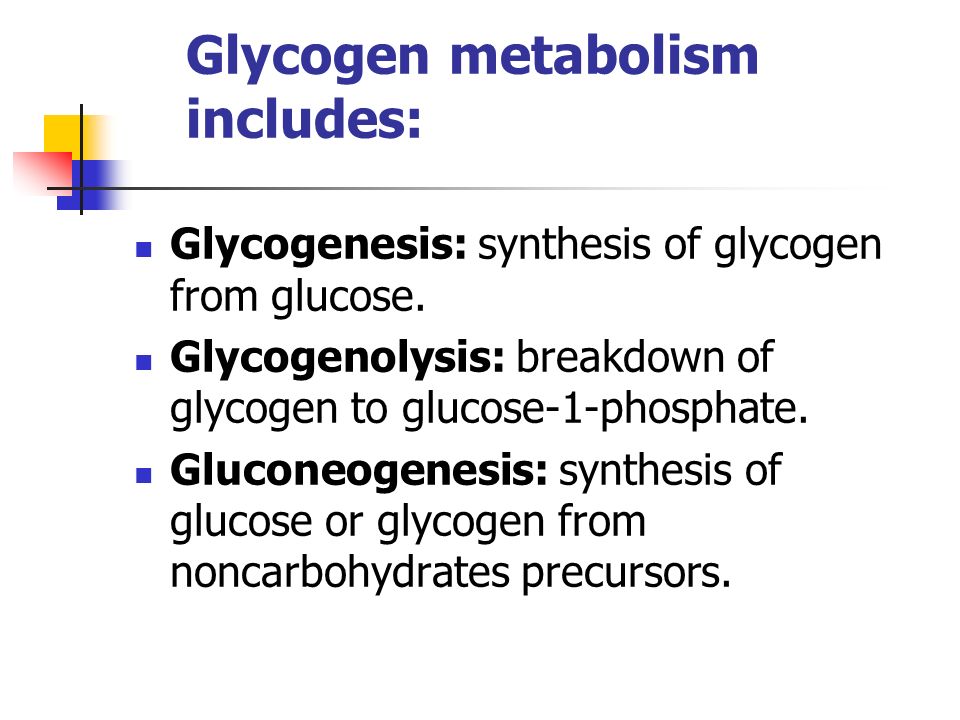 Glycogen metabolism includes: